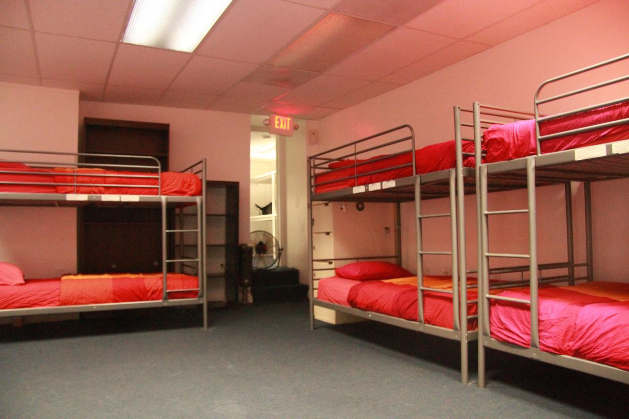 Cama en habitación compartida mixta de 12 camas